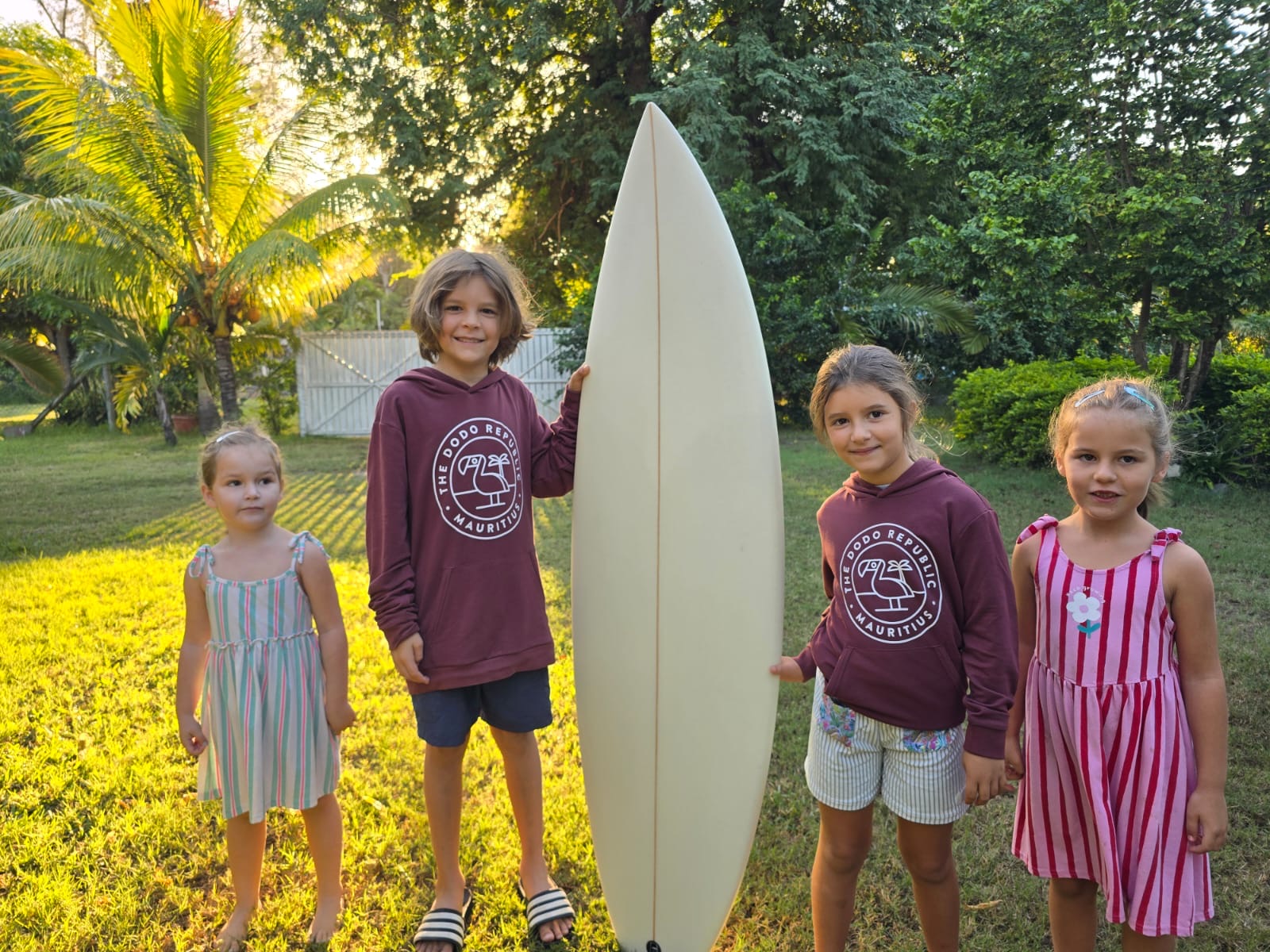 Sunset Duckies, board project