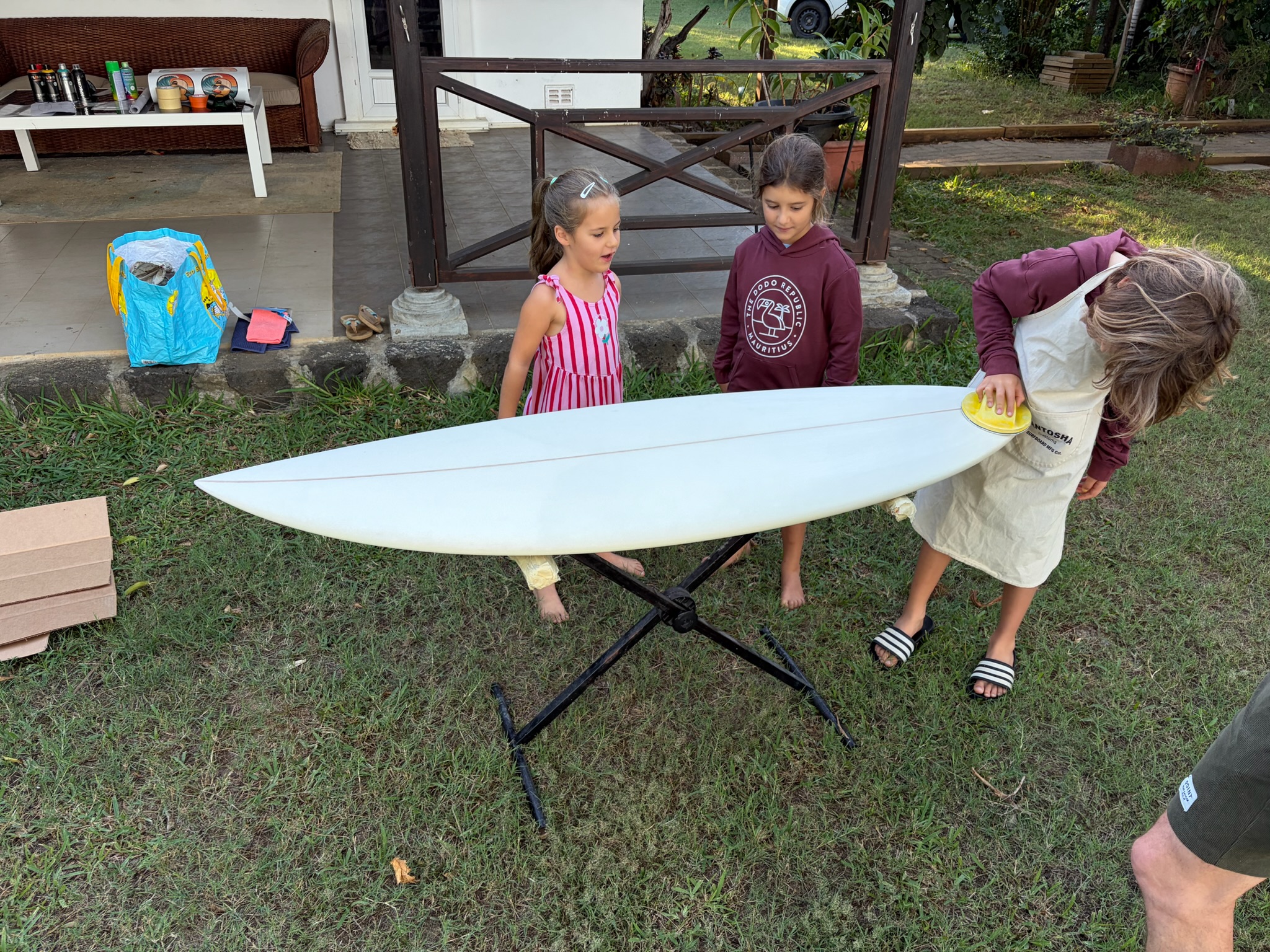 Sunset Duckies, board project