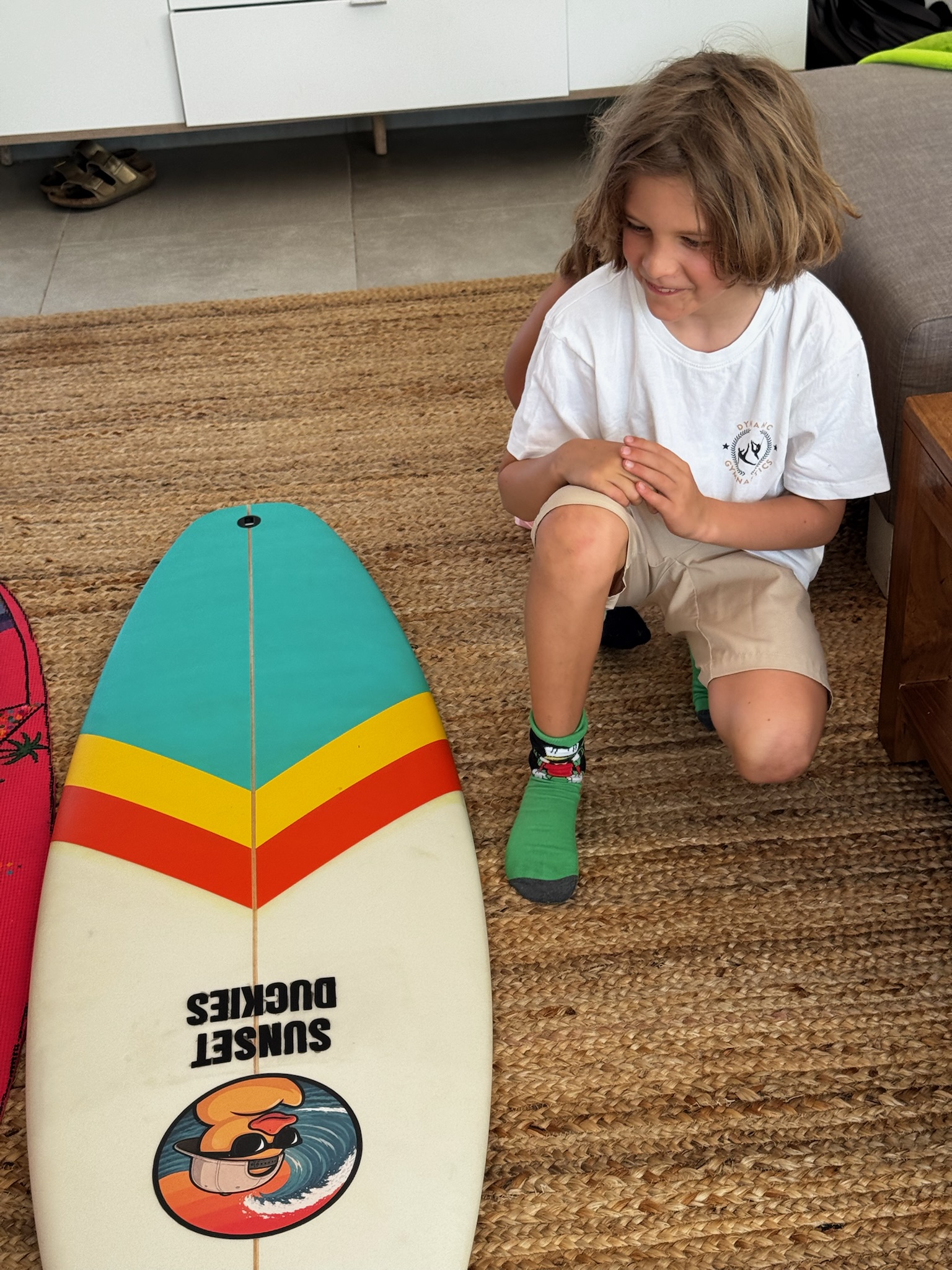 Sunset Duckies, board project