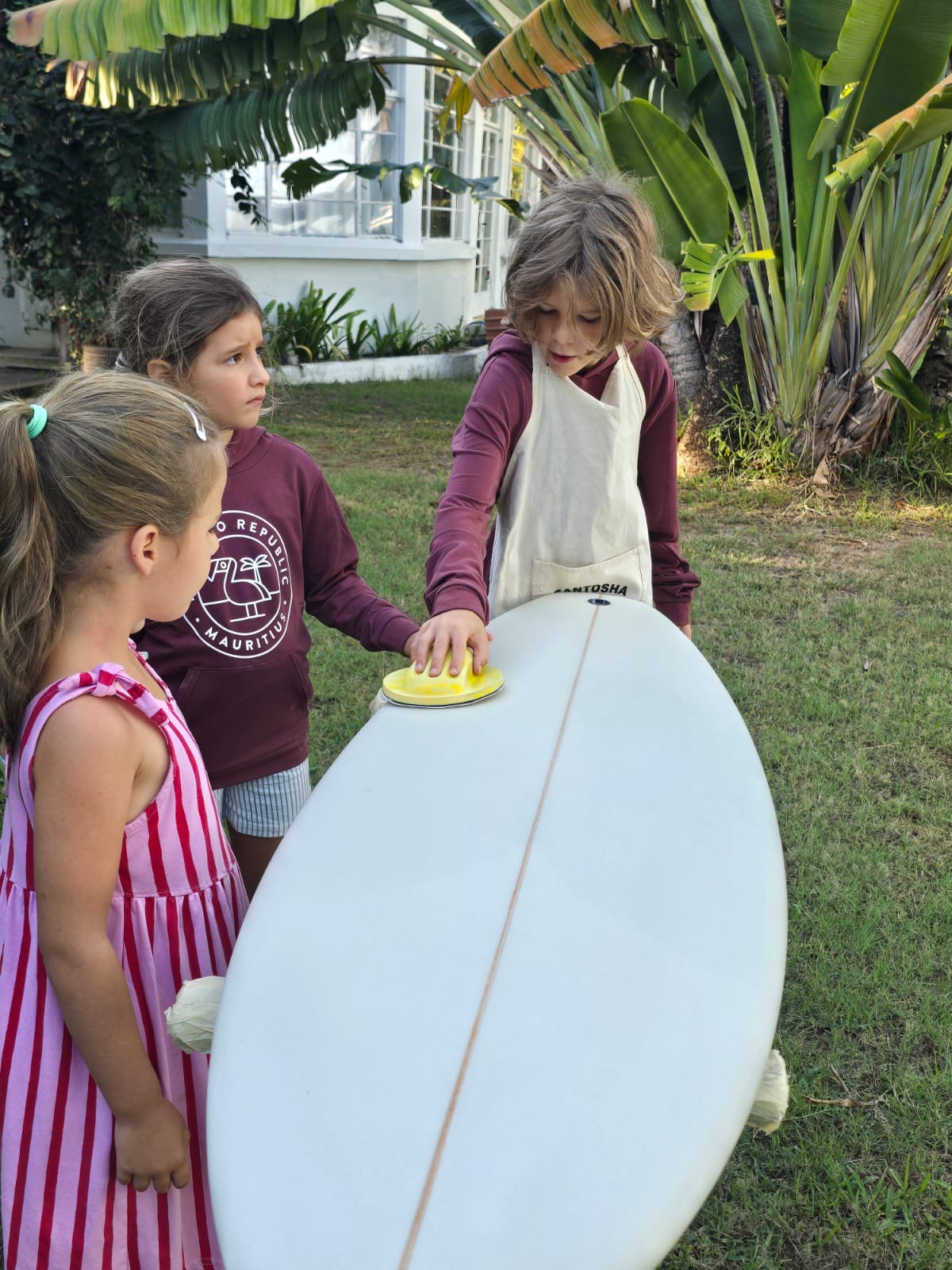 Sunset Duckies, board project