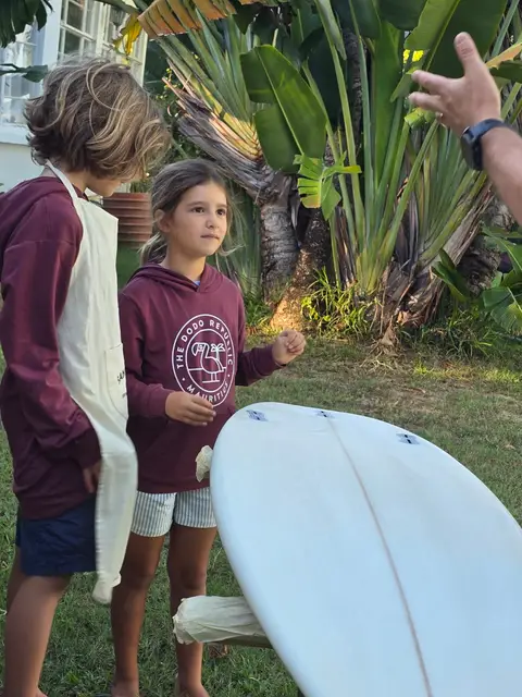 Sunset Duckies, board project