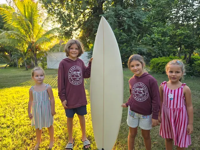 Sunset Duckies, board project