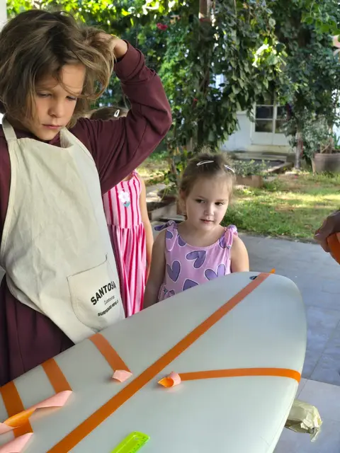 Sunset Duckies, board project