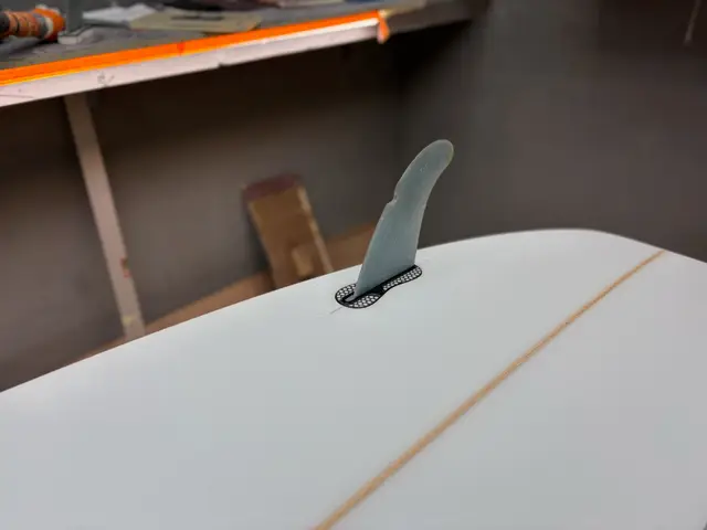Sunset Duckies, board project