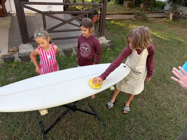 Sunset Duckies, board project
