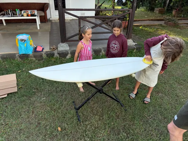 Sunset Duckies, board project
