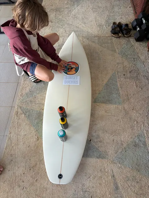 Sunset Duckies, board project