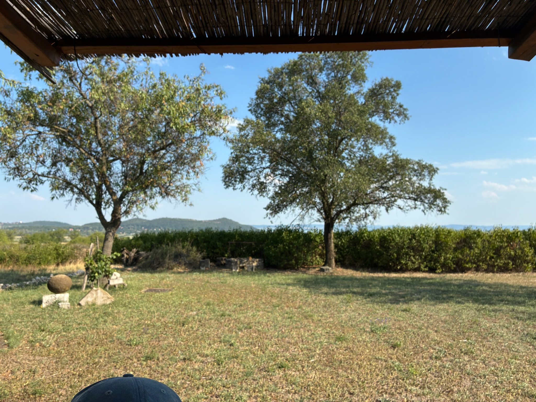 The garden — trees, hills, and space to breathe