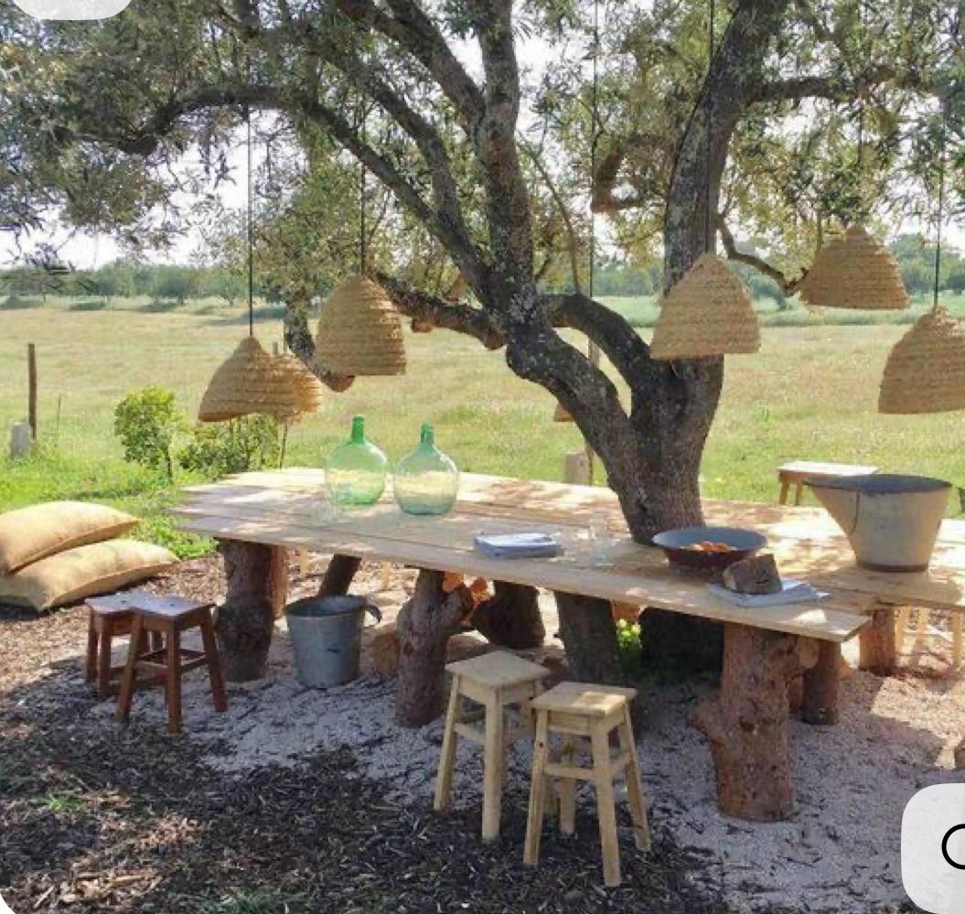 Large tree-trunk table with hanging woven pendants