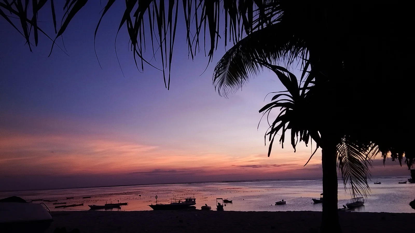 Small boats in the shallows at Oeseli Beach on Rote Island, with palm silhouettes against a pink evening sky.